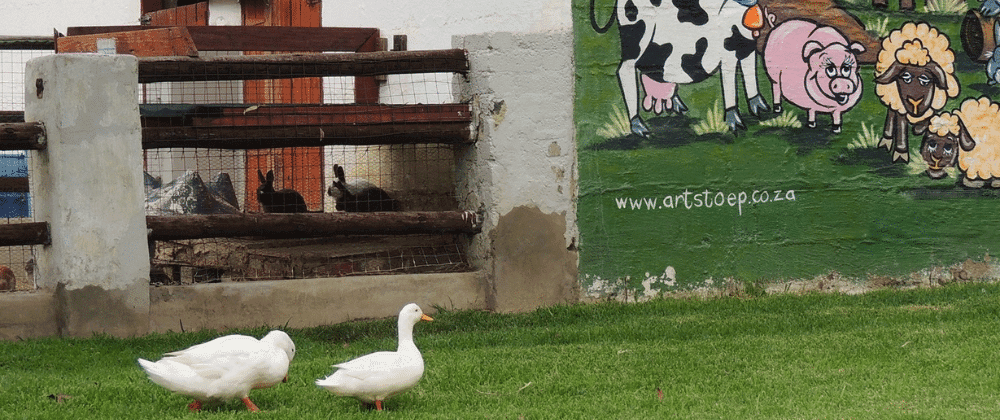 Experience Unforgettable Adventures at Barnyard Kids