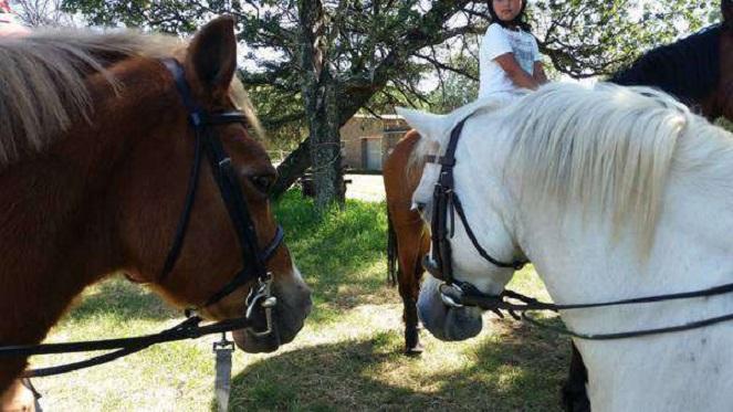 #Kids: Our Kid's Entertainment Enthusiast Went To Pony Camp