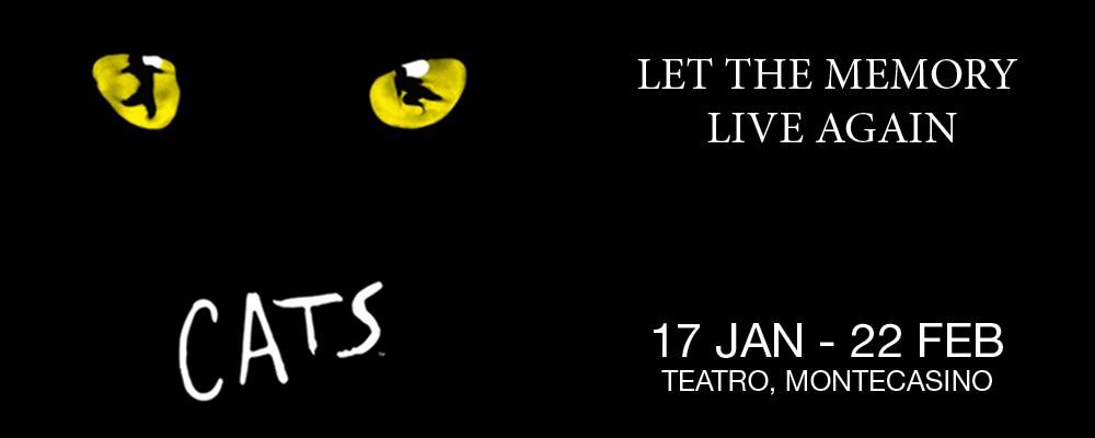 CATS Pounces Into Joburg!