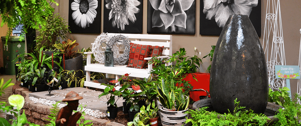 Garden World: Explore A Garden Haven In Muldersdrift