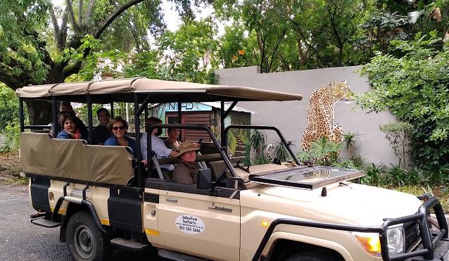 See Johannesburg ...Through Its Street Art